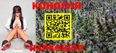 a pvp Краснодар