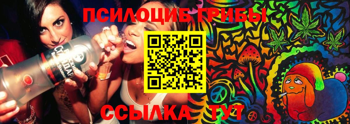 Галлюциногенные грибы ЛСД  Вход с VPN  Кашира 